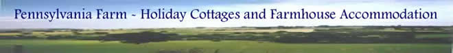 Ivy Cottage B&B and Self Catering